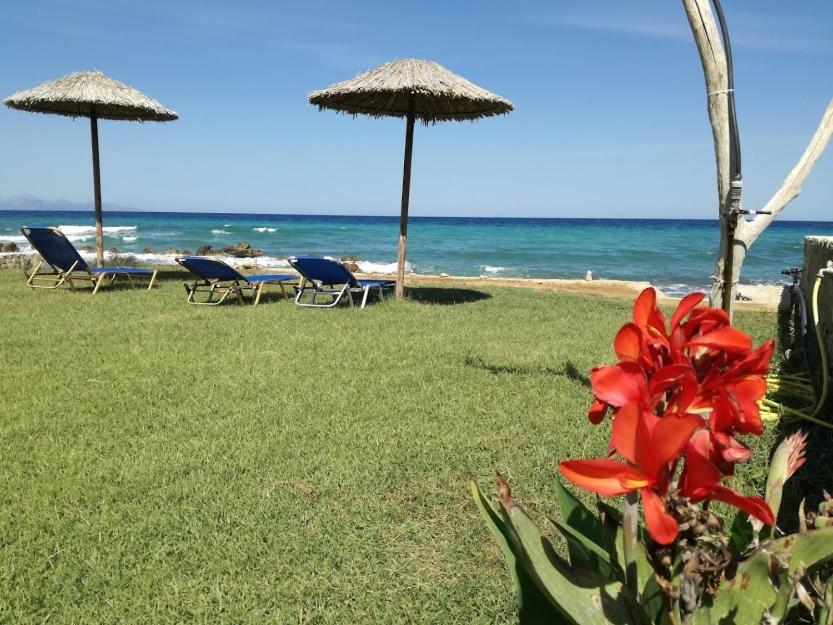 Appartement Thalassa